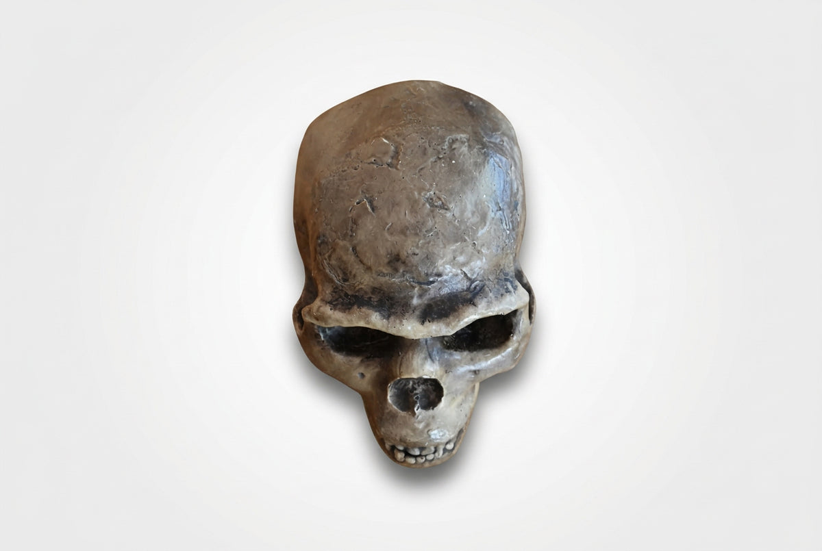 Resin Neanderthal Replica for Academic purpose